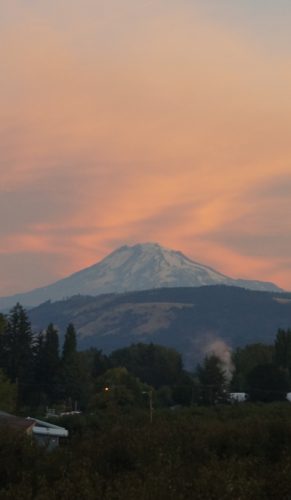 View of Mt Adams to the North