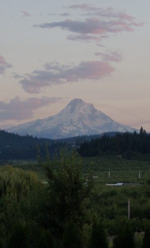View of Mt Hood to the South